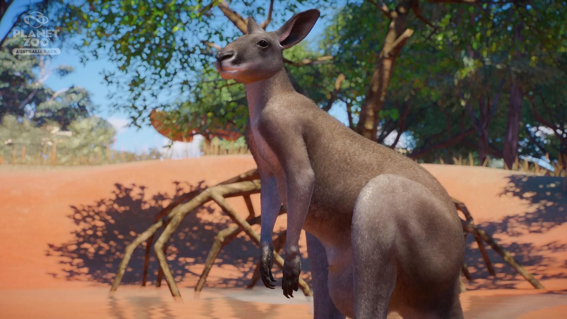 planet zoo australia pack planet zoo australia pack