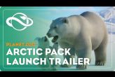 Embedded thumbnail for Planet Zoo - Arctic Pack DLC (PC)
